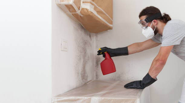 Professional Crawl Space Mold Remediation technician working in Babylon, NY